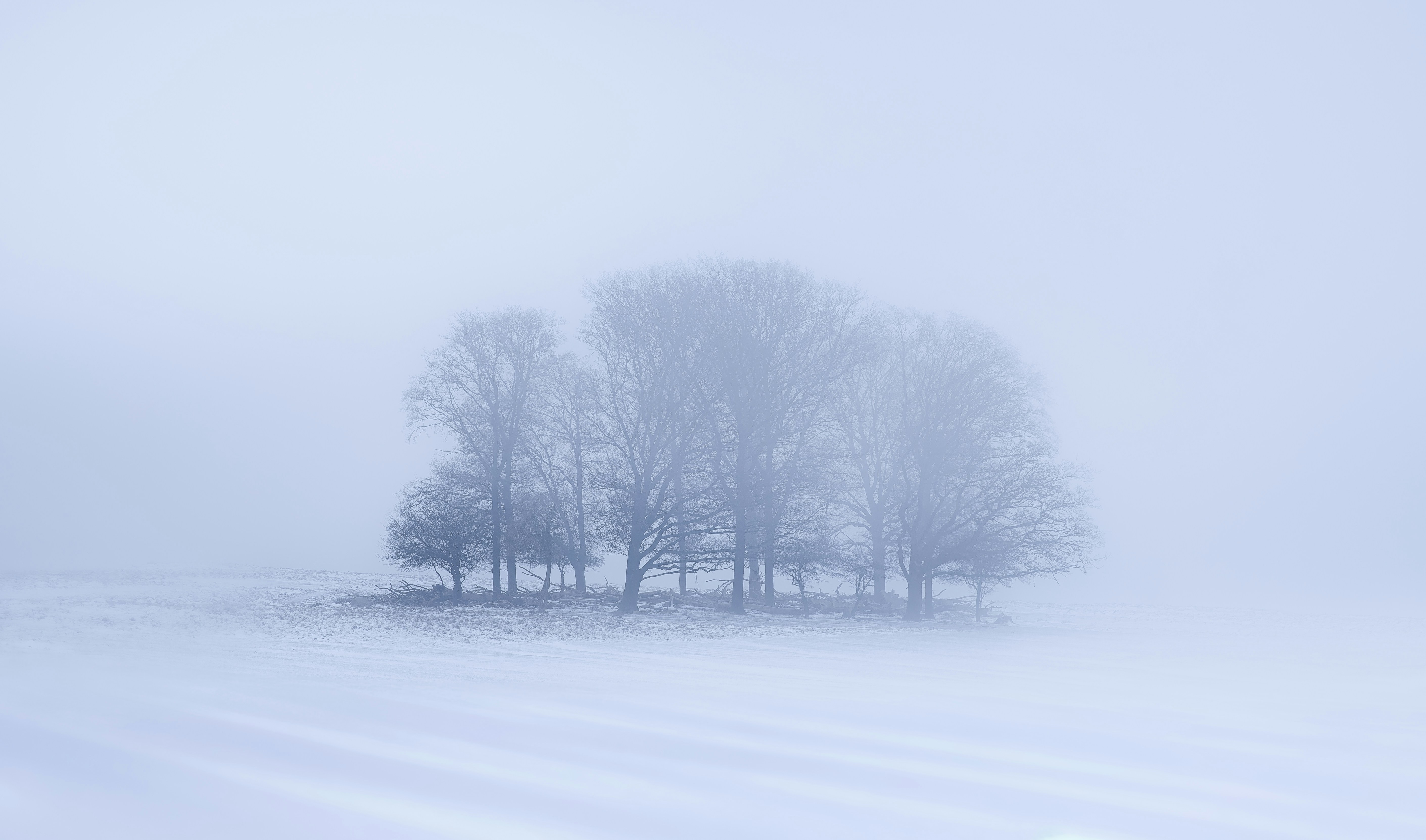 Photo by Carlos Felipe Ramírez Mesa